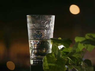 Wein trinken mitten im Weinberg