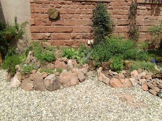 Kraeuterschnecke2 07.2016