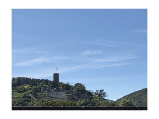 Blick auf die Wachtenburg