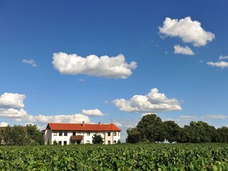 Weingut Eberle 88 Jul 30 2015