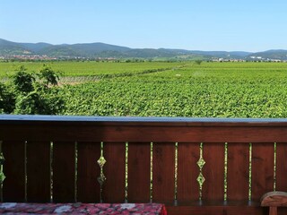 Weingut Eberle 59 Jun 30 2015