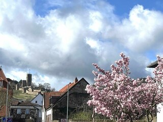 blick_wachenburg