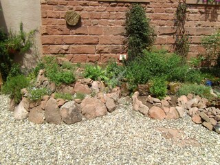 Kraeuterschnecke2 07.2016