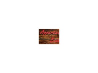 appartements-bidner-holzhintergrund-logo