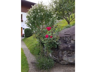 Außenbereich