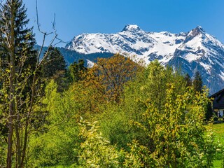 Ausblick verschneiter Grünberg