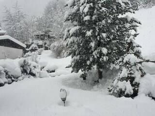 Winterimpression