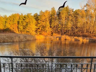 Blick vom Balkon im  Frühjahr