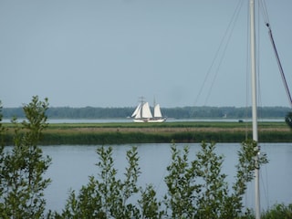 Blick vom Balkon im Sommer