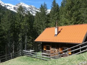 Appartement Zwergenwald Hütte