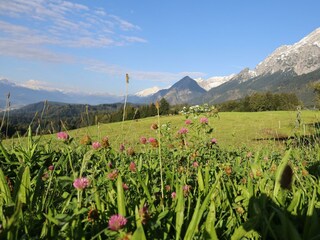 Ausblick Berge Tirol Lehmooserhof Gnadenwald