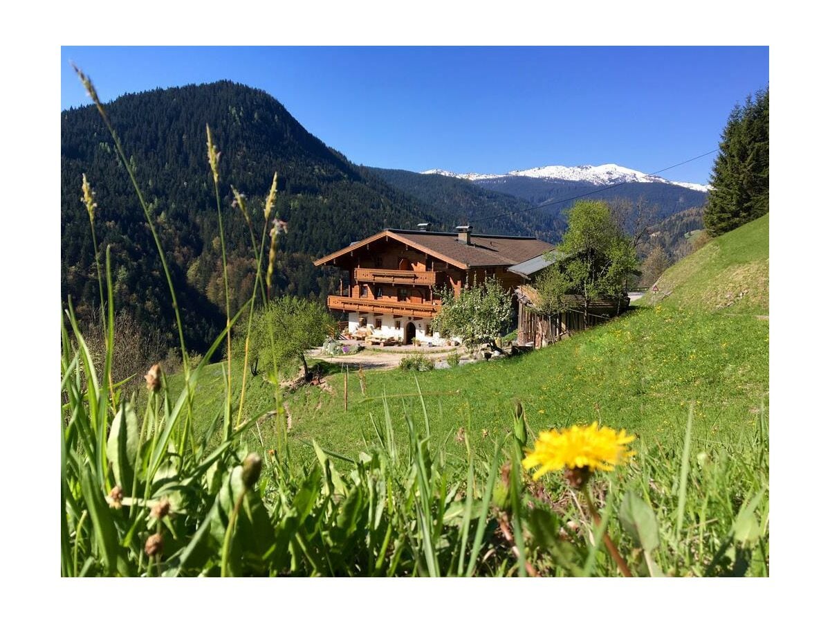Riegergut Sommer