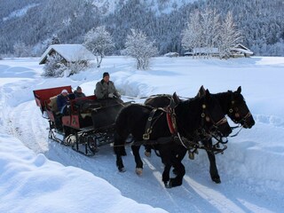 IMG_4029 e mail