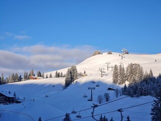 Lofer-Skialm © Almenwelt Lofer