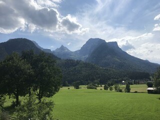 IMG_1196
