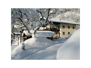 winter.jpg