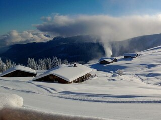 Ausblick