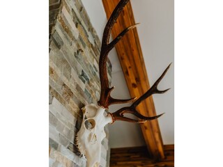 Ferienwohnungklein-51