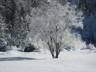 IMG_0268 (1)