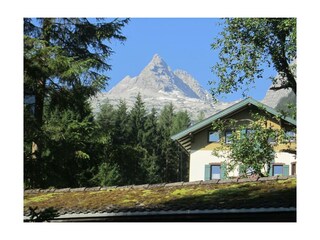IMG_0075_1