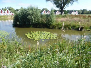 Apartamento de vacaciones Nordhorn Entorno 25