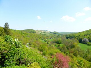 Frühlingspracht im Tal