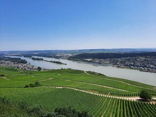 Rheintal bei Bingen Rüdesheim