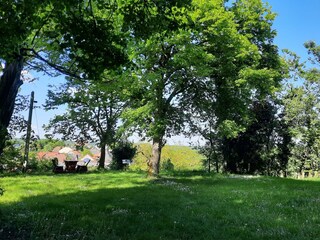 Aussichtsplatz an der Burg