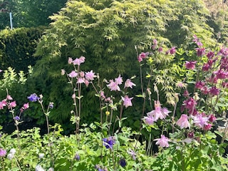 Romantischer Bachlauf