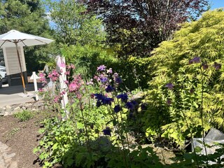 Bachlauf und Liegefläche