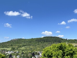 Ausblick am Mammutbaum