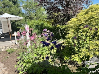 Bachlauf und Liegefläche