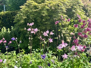 Romantischer Bachlauf