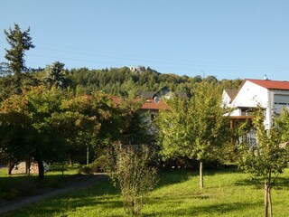 Obstgarten
