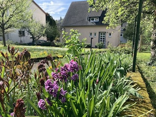 Gartenansicht Hauseingang