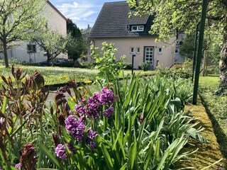 Gartenansicht Hauseingang
