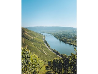 Die Mosel