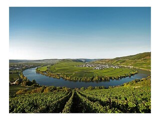 Moselschleife