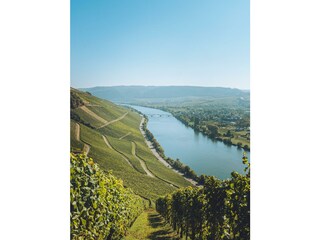 Die Mosel