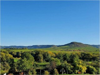 Ausbblick Mosel und Weinberge
