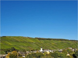 Ausblick Weinberge