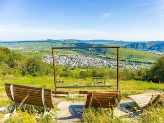Moselkino mit Blick auf Leiwen