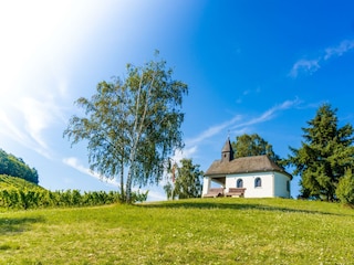 Kapelle in den Weinbergen
