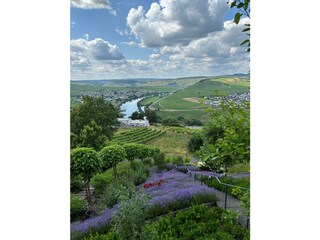 Blick von der Terrasse