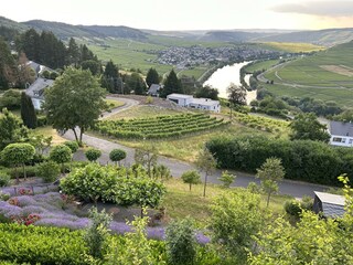 Moselblick