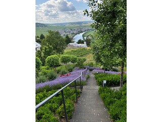 Zugang zur Ferienwohnung