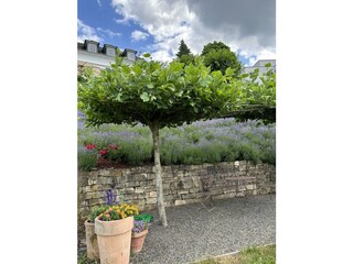 Sitzecke mitten im Grünen