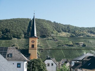 Blick auf die Weinlage "Trittenheimer Apotheke"