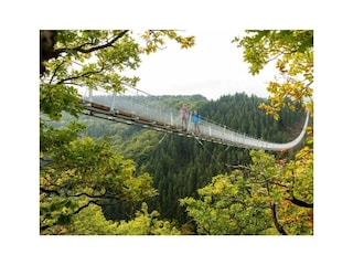 Hängeseilbrücke Geierlay in Mörsdorf