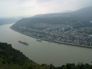 FeWo Blick auf den Rhein